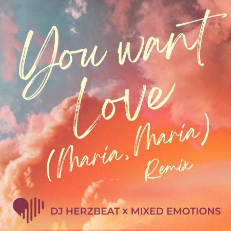 Mixed Emotions DJ Herzbeat