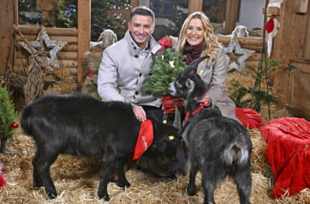 Stefanie Hertel Schlager