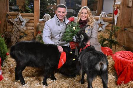 Bild von Schlagerprofis.de