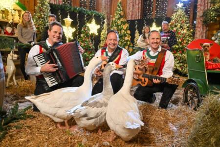 Bild von Schlagerprofis.de