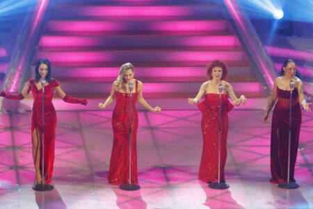 Bild von Schlagerprofis.de