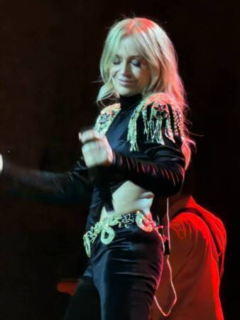 Bild von Schlagerprofis.de