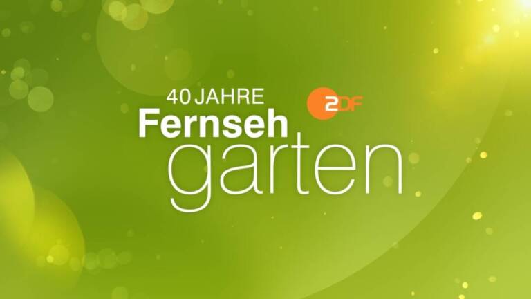 ZDF Fernsehgarten Nino de Angelo