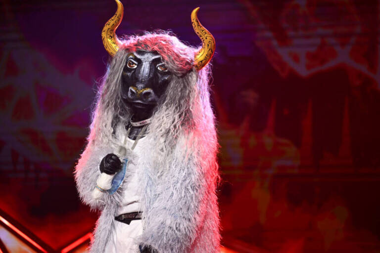 Vincent Gross Masked Singer Foto: PRO7, JOYN